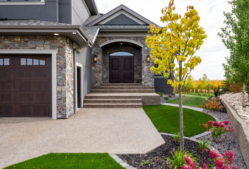 The One With The View