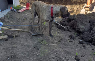 The One With The Fireplace