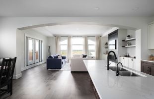 The One With The View