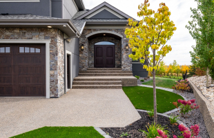 The One With The View