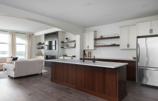 The One With The View