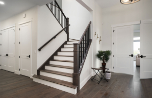 The One With The View