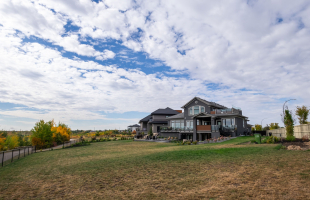 The One With The View