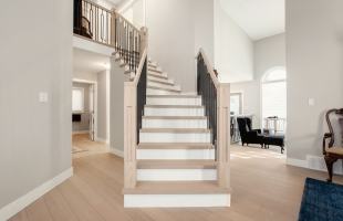 The One With The Gold Sink