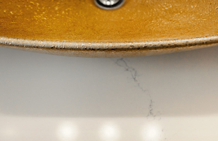 The One With The Gold Sink