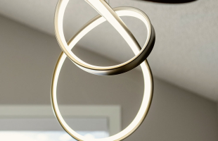 The One With The Gold Sink