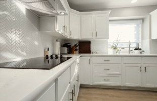 The One With The Gold Sink