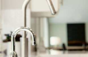 The One With The Gold Sink