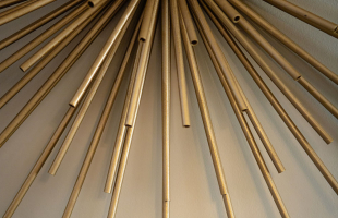 The One With The Strong Squirrel