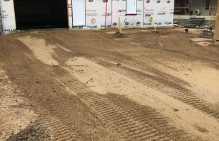 The One With the Boat