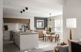 The One With The Island